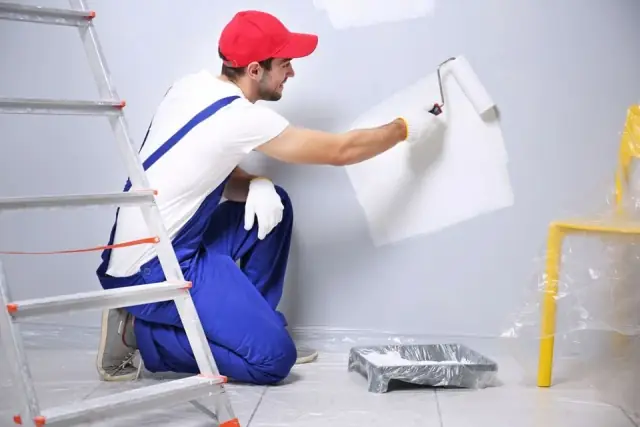 Danco Painters & Decorators cover