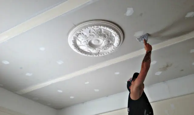 Fixit Ceilings cover