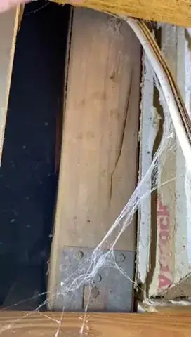 Flash Pest Control cover