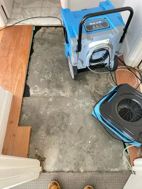 Flood Services Melbourne
