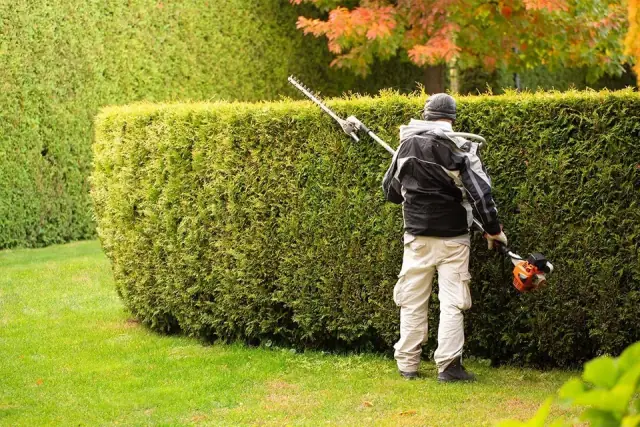 Flora Tree Services cover