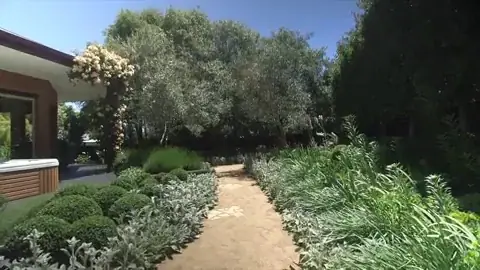 Foliage Landscaping cover