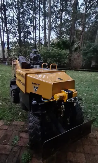 Frankie's Stump Grinding