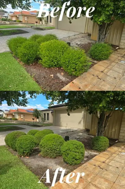 Fresh Cuts Gardening and Maintenance