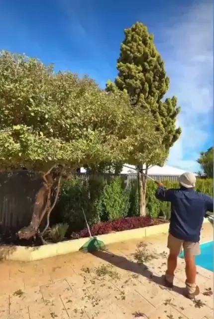 Fresh Outdoors - Cylinder mowing & Hedge Trimming cover