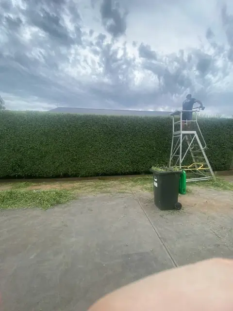 Front back & side Mowing