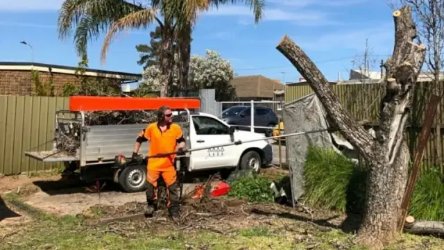 FTGU Tree Services cover