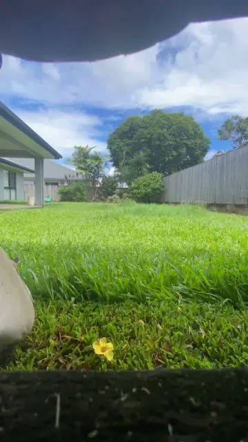 Full Throttle Lawn & Garden cover