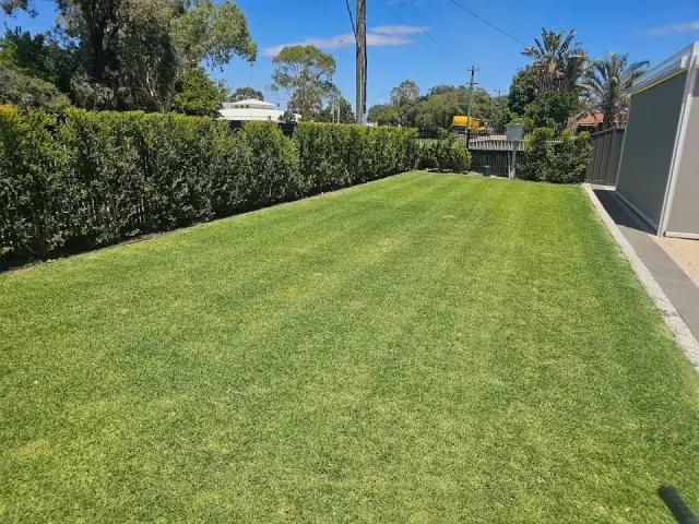 Garden and Reticulation