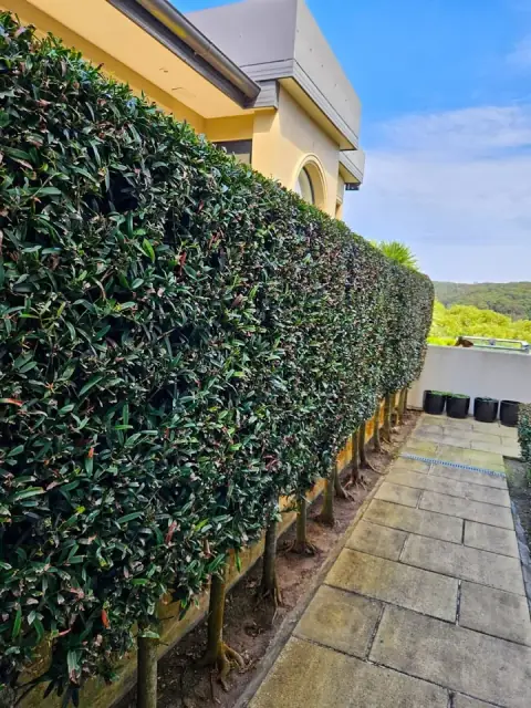 Garden Goals | Garden Maintenance & Pressure Cleaning Sydney cover