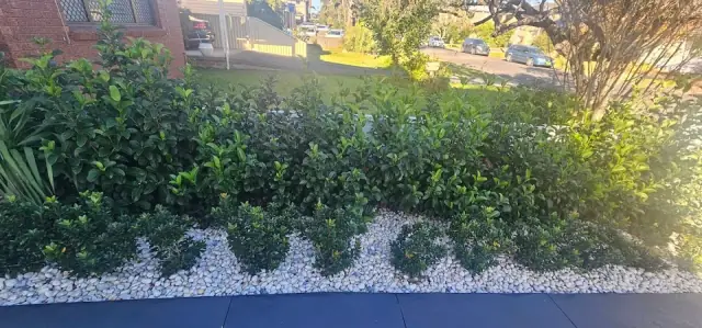 Gardening Experts cover