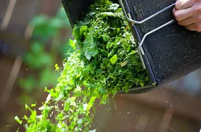 Gardening Services Adelaide