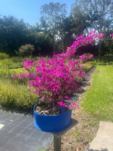 Gardens and Lawns cover