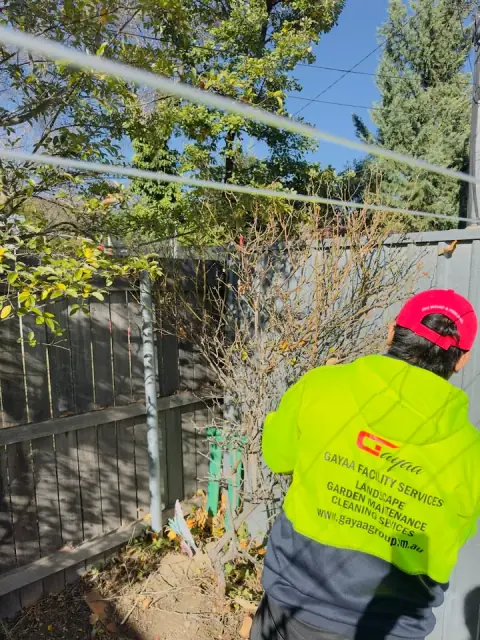 Gayaa Facility Services