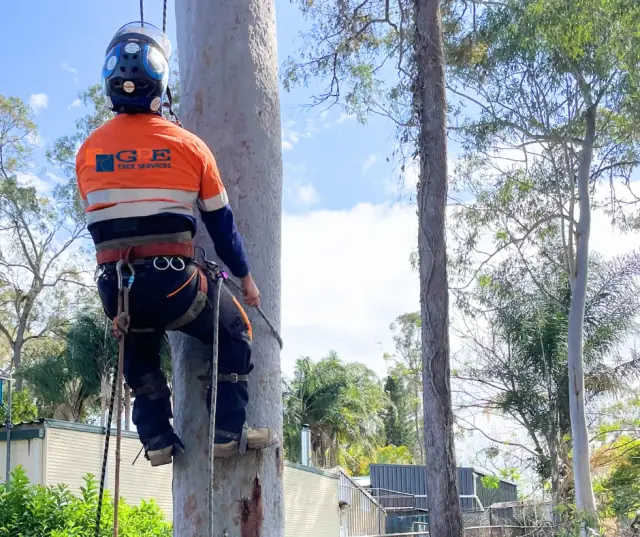 GDE Tree Services cover