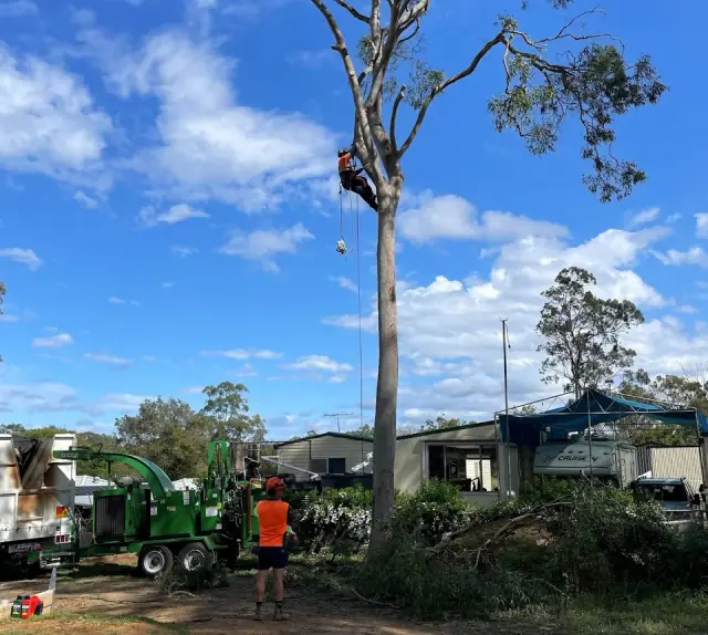GDE Tree Services cover