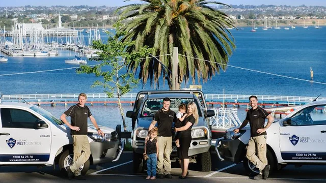 Geelong Pest Control cover