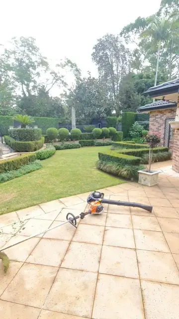 Genesis Gardens cover