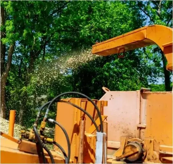 George's Tree Services