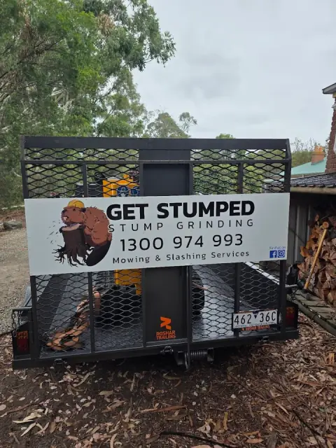 Get Stumped Melbourne