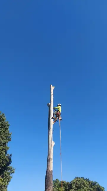 Gibson Tree Services