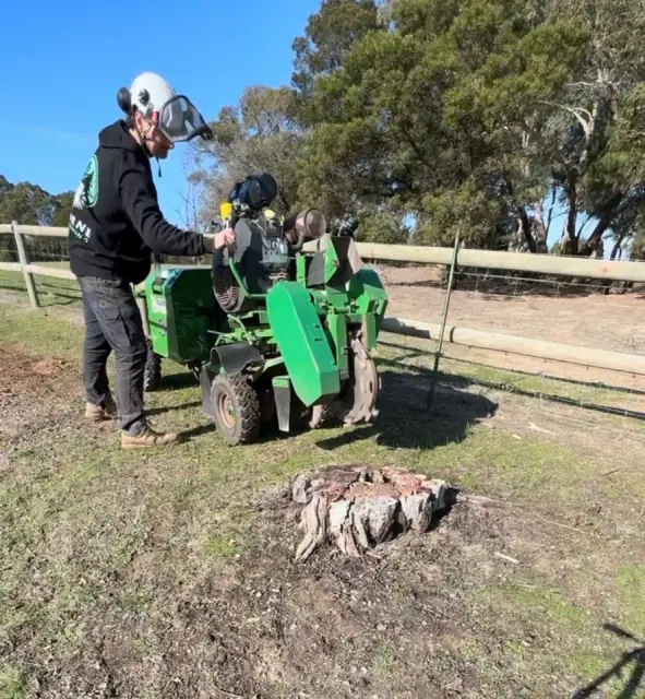 Gisborne Stump Grinding