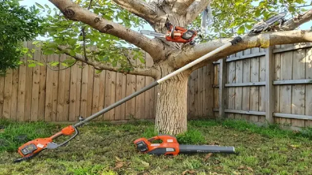 Global Arborist Australia