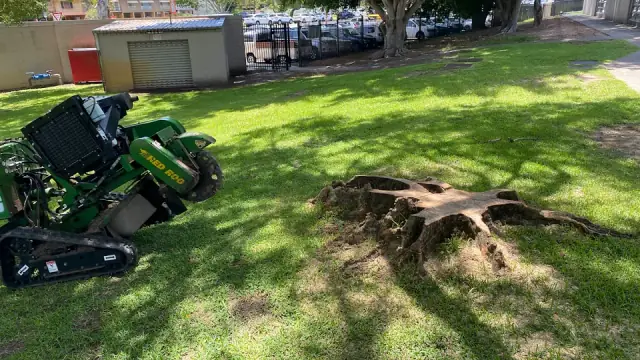 Gold Coast Stump Grinders Pty Ltd