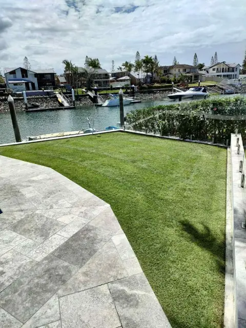 Golden Cane lawns cover
