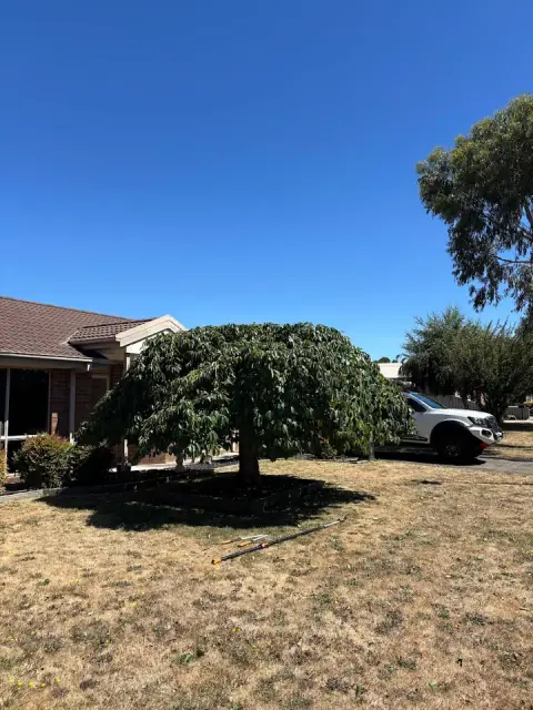 Goldfields Environmental cover