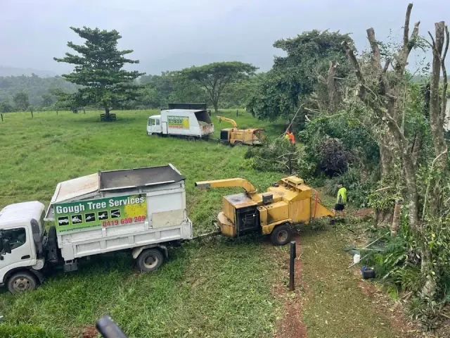 Gough Tree Services cover