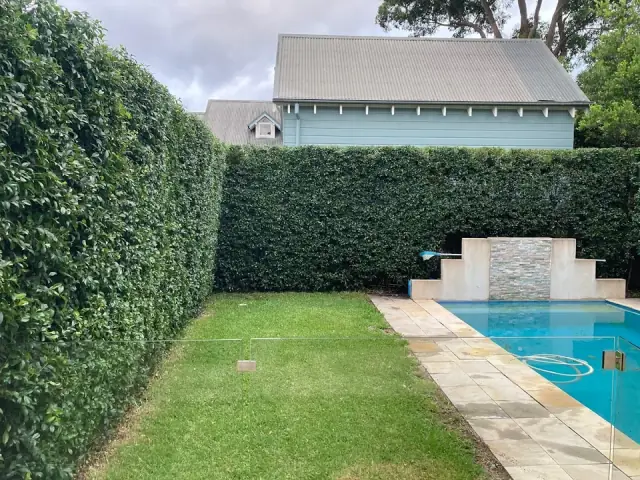 Grand Gardens cover