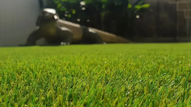 Grass That Lasts | Artificial Grass Gold Coast