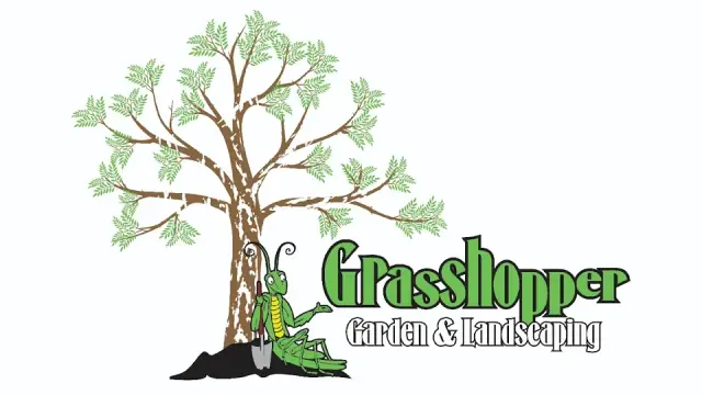 Grasshopper