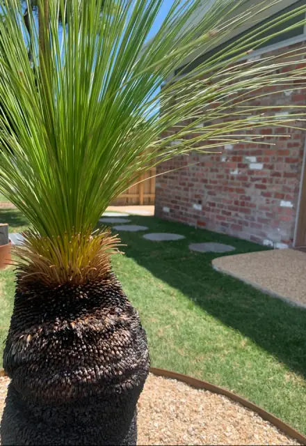 Grayden Landscapes