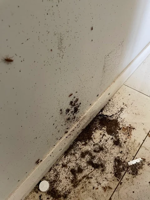 Greater Sydney Pest Control