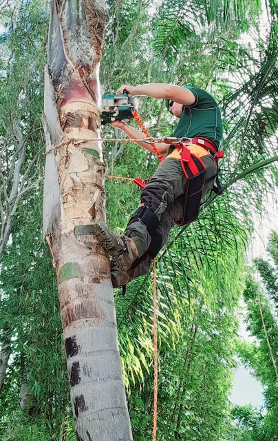 Green Geeks Tree Services