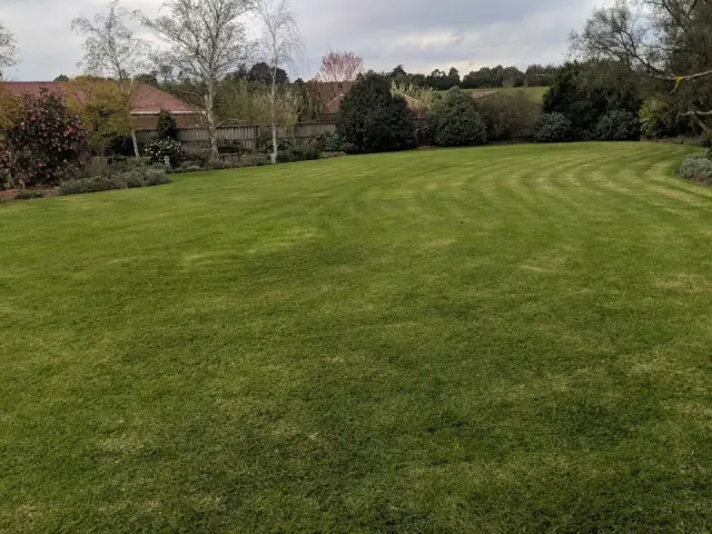 Green Grass Management cover