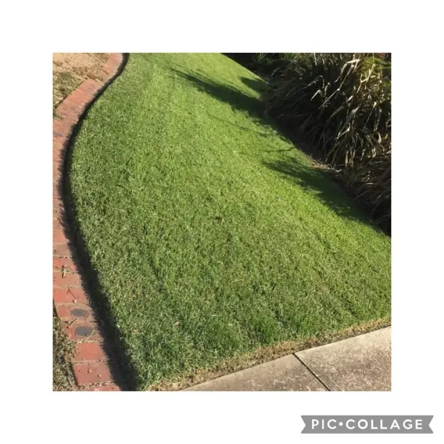 Green Seen Gardeners cover