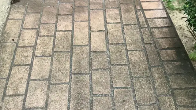 Green-Steam Carpet Clean cover