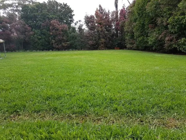 GreenGrass Lawns & Gardens - Toowoomba