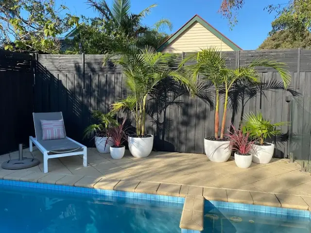 Greenify Gardening