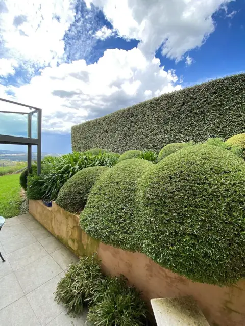 Greenpatch Garden Services