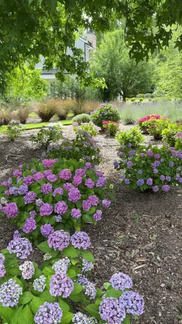 Greenpatch Garden Services cover