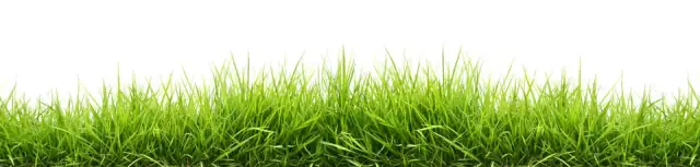 Greenprint Landscapes