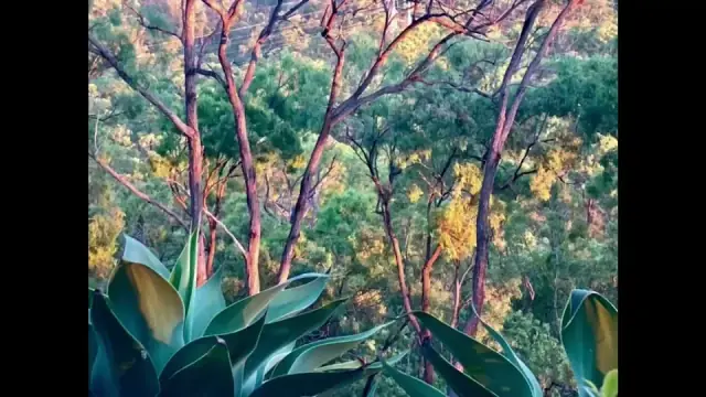 Greenscape Gladstone cover