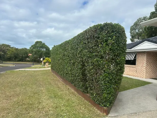 Greenwood Gardens and Mowing cover