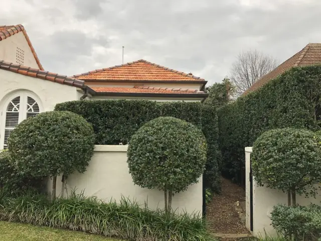 Grene gardening cover