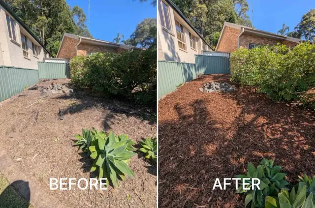 Gringo Yard And Garden Maintenance cover