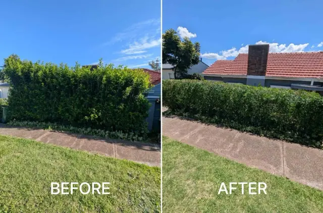 Gringo Yard And Garden Maintenance